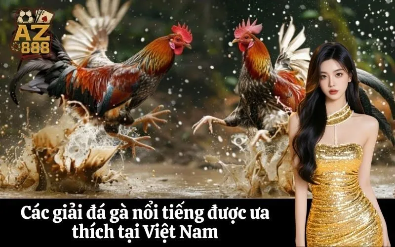 Các giải đá gà nổi tiếng được ưa thích tại Việt Nam
