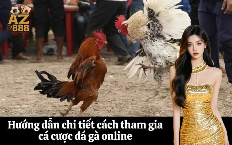 az888 Hướng dẫn chi tiết cách tham gia cá cược đá gà online