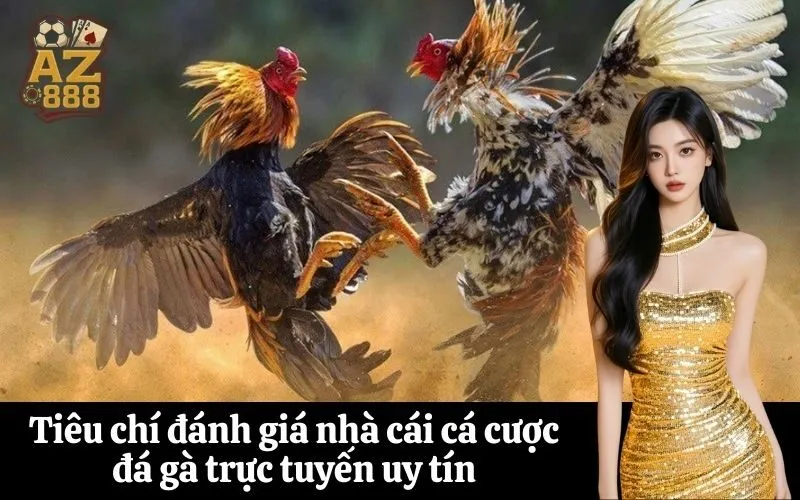 az888 Tiêu chí đánh giá nhà cái cá cược đá gà trực tuyến uy tín
